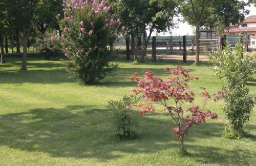 Agriturismo Arte Contadina - Foto 16