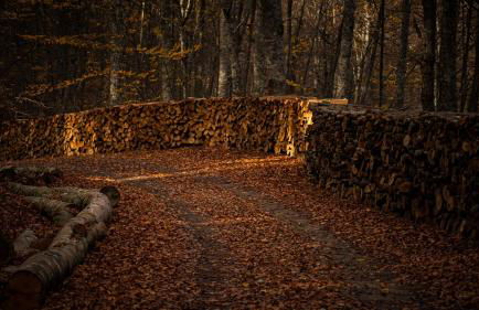 Ιξός Home - Photo 60