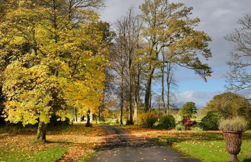 Loch Lomond Finnich Cottages - Foto 50