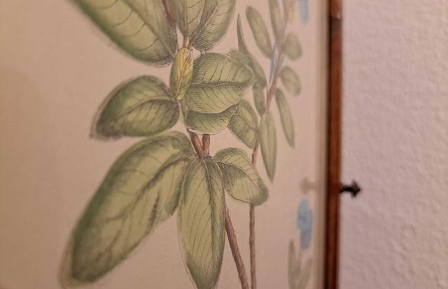 Agra Apartments - Foto 1