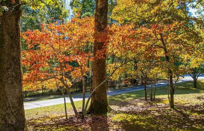 Grand Retreat Luxury Vacation for Large Groups - Foto 45