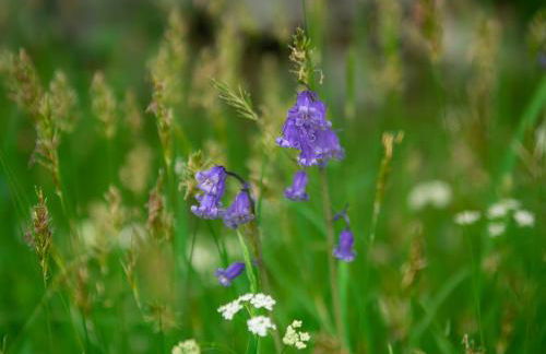 Steading Cottage - 50m from the beach - Foto 74