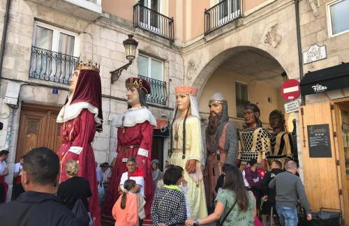 alMirante Burgos Centro Tranquila y con encanto Como en casa - Foto 53