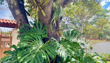 Maravilhosa casa com piscina em Lagoa Santa - Foto 5