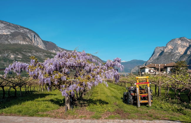 Antico Fienile Agritur - Foto 37