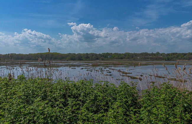 Latitude Adjustment Walk to Beach & Dining! - Photo 30