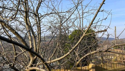 The Rural Cosy Camper by MaisonPro - Foto 2