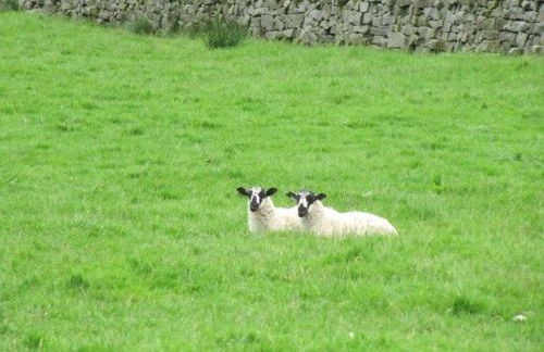 1 Bed in Harrogate oc-hh071 - Photo 12