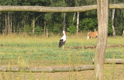 Ferienwohnungen Pustane - Foto 14