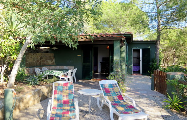 Piccola Oasi 7 - Foto 18