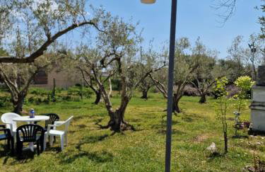 Dream in Chalkidiki 2 bedroom villa with garden - Foto 58