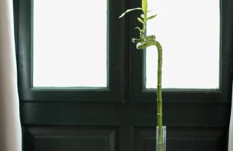 Kimata Apartments - Foto 19