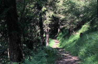 Sogno delle Dolomiti - Photo 63