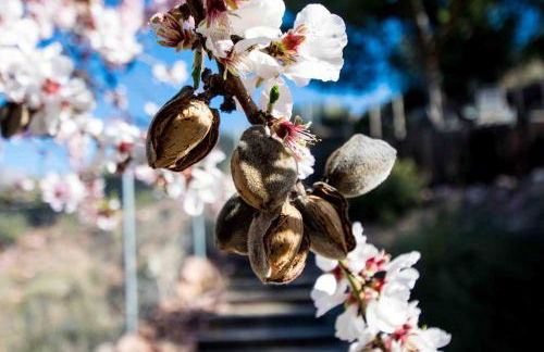 Espuna Walks Casa Los Arcos - Foto 11