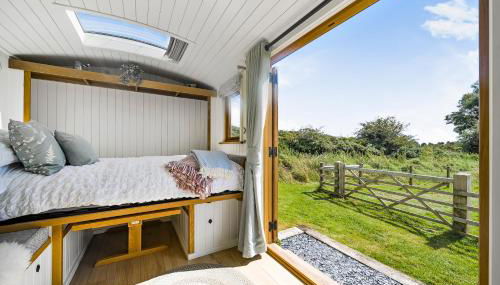 Fferm Fach by Birch Stays - Foto 5