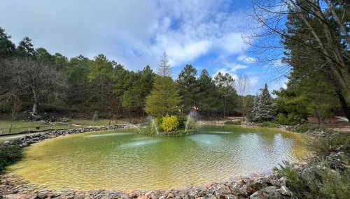 Casa Rural Riópar, luxury in nature - Foto 5