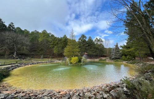 Casa Rural Riópar, luxury in nature - Foto 5
