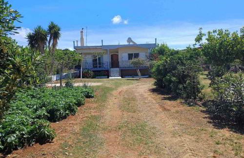 Sofia's Yard House - Foto 7