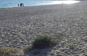 Tenuta del Bifan - Photo 56