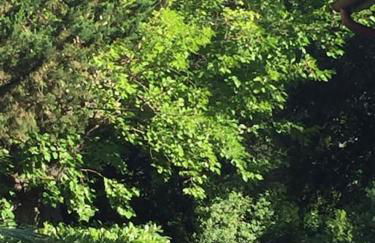 I Gelsi di Colombata Locazione turistica breve in campagna - Foto 78