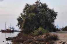 Mike'sPlace - Foto 57