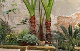 Xenia Boutique Apartment - Foto 33