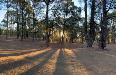 Los Abuelos Vivienda Vacacional - Foto 18