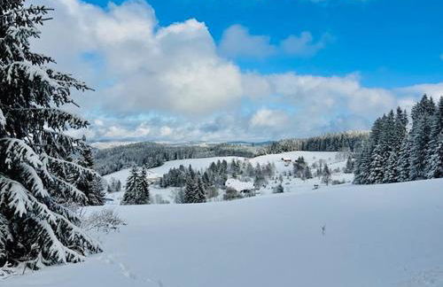 Schwarzwalduhren Nescht Triberg - Foto 31