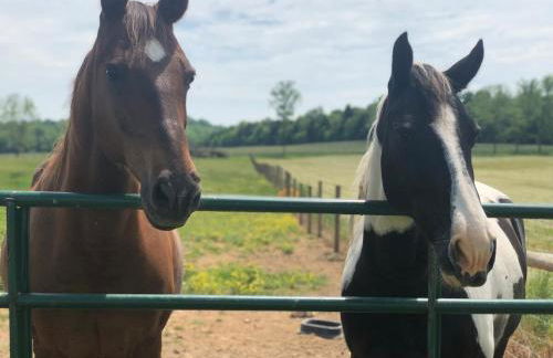 Cozy Farmhouse near Mammoth Cave on 45 acre farm - Foto 25