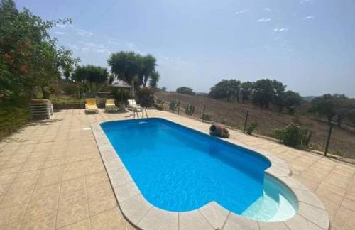 Monte Abaixo - Foto 15