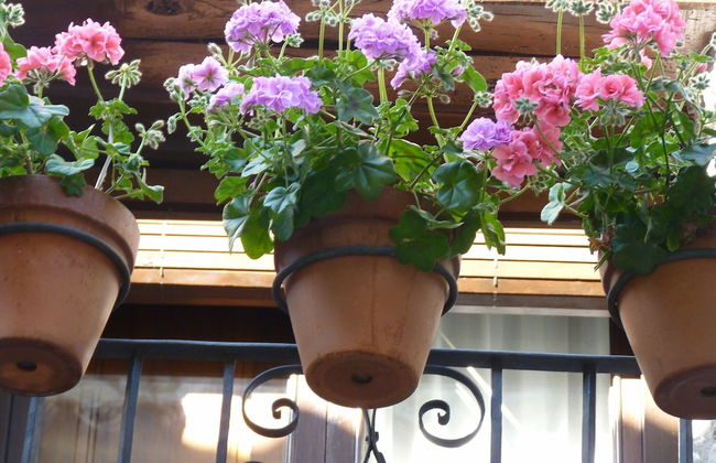 Idyllic Country House in the Foothills of the Pyrenees - Foto 15