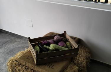 AGRITURISMO TERRAPIA - Foto 28