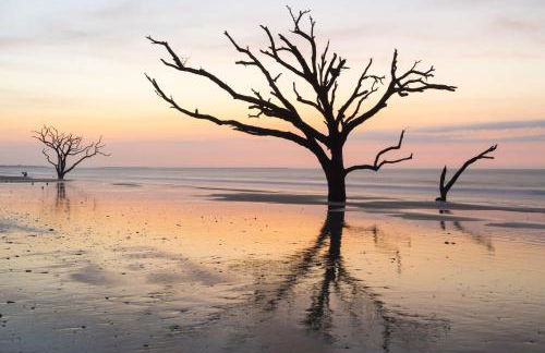 Gertie Downtown - Foto 29