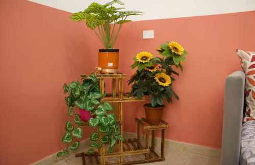 Casa Leolisa - Foto 67