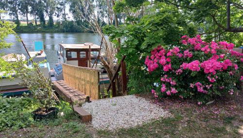 Studio sur l'eau - Bateau Diva - Foto 2