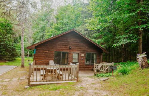 Old Stoney's Bass - Big Arbor Vitae Lake - Foto 1