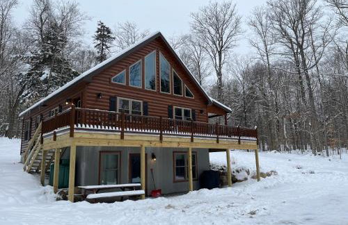 Blissful Bear - Foto 3