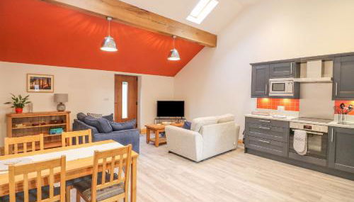 Pipistrelle - Foto 4