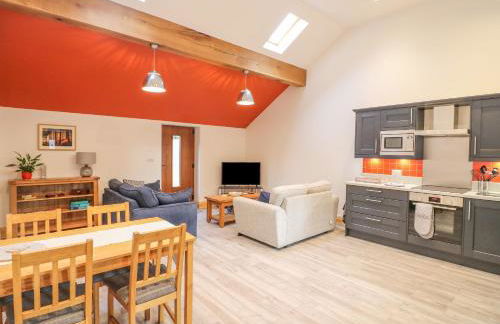 Pipistrelle - Foto 4