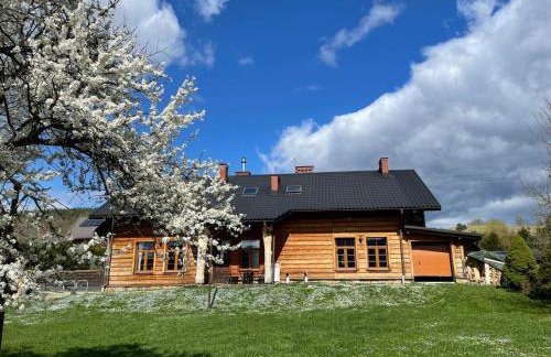 Domek w Bieszczadach - Willa Stasia - Foto 10