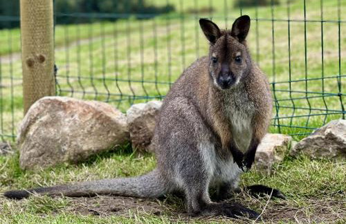 Parlour Barn - Photo 56
