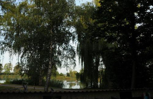 Seehotel Europa - Foto 41