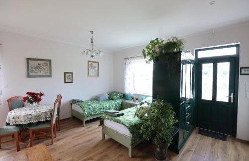 Zielona Przystań - Foto 25