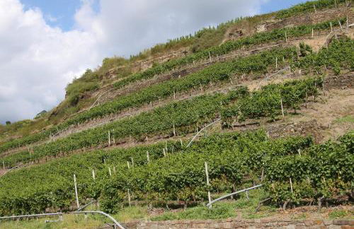 Ferienwohnungen im Moseltal - Foto 73