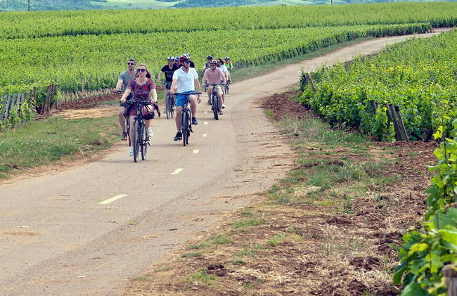1 journée de vélo électrique et de découverte des vins de la Côte de Nuits au départ de Dijon - Photo 1