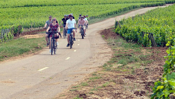 1 journée de vélo électrique et de découverte des vins de la Côte de Nuits au départ de Dijon - Photo 1, Le vignoble à vélo électrique