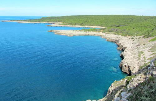 Villa Giusy by Interhome - Foto 82