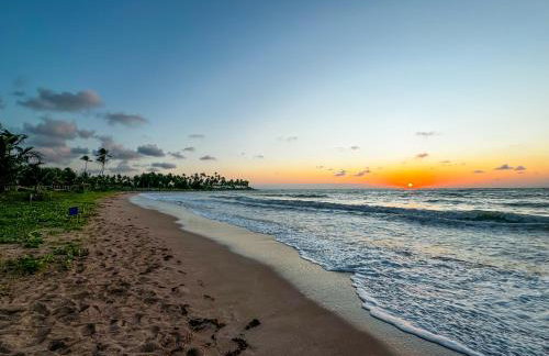 Naluum Milagres - Foto 12