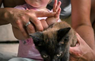 Ferienparadies Hugenhof - Foto 28