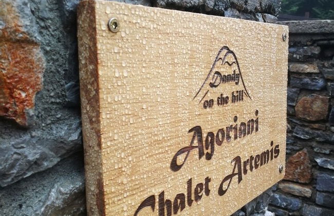 Dandy Villas Elatodasos Chalet Artemis - Foto 21